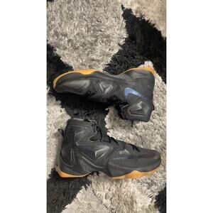Nike LeBron 13 Black Lion Men's Size 13 Basketball 807219-001 Clean